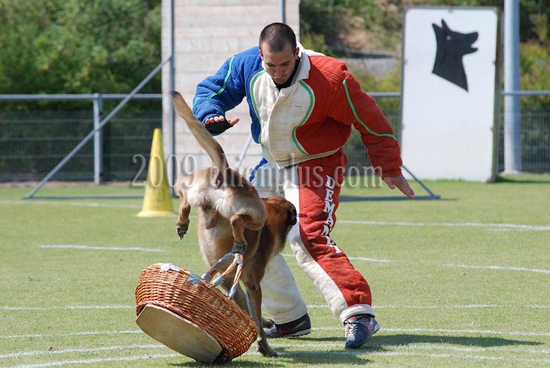 3 EME SELECTIF 2009 GRANDE SYNTHE 606.jpg
